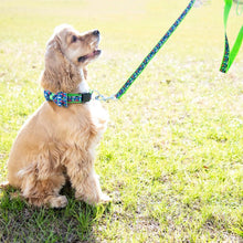 Load image into Gallery viewer, Lifestyle view of our Shotgun Shell Pet Leash
